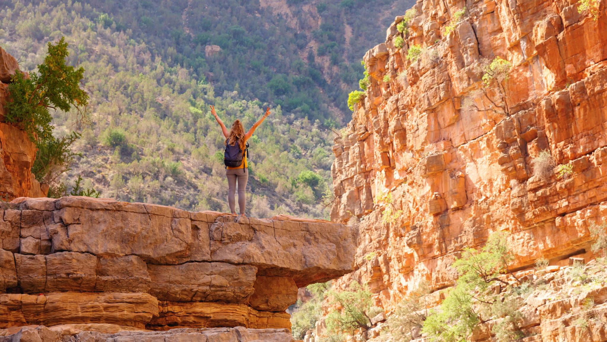 Morocco Oasis - Todgha gorges