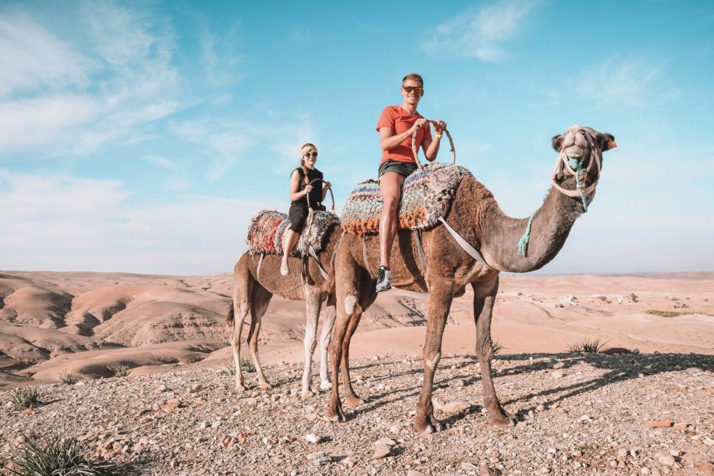 Agafay desert - Camel ride in the agafay desert