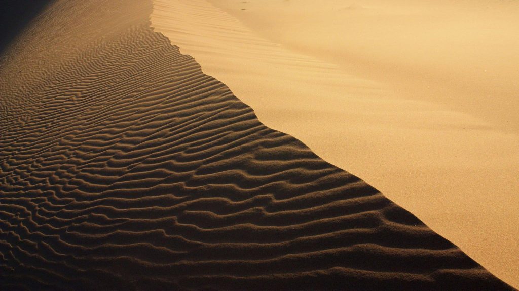 Walking on the dunes of Morocco Sahara desert .